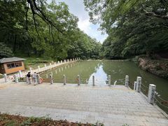 -句容茅山景区