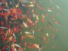 android_upload_pic-中国唐苑