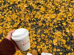 -千年银杏谷文化旅游区