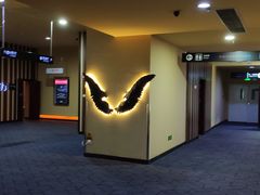 -华谊兄弟影院(IMAX洋桥店)
