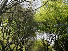 -重庆园博园