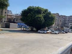 -煎意浓·吴记煎包(八角亭店)