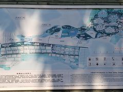 -亚龙湾国际玫瑰谷