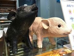 -WHEN PIGS FLY当猪飞