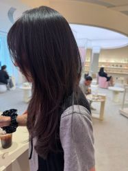 -SALON DE VANHADA