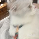 南宁咖啡丨超级可爱的居民楼小店🫡有猫!
