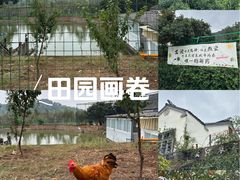 -云河农家乐饭店(福禄缘树山店)