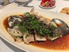 -南麓·浙里(外滩店)