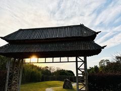 -东方绿舟景区