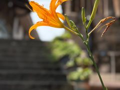 -福宝古镇