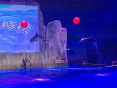 -华夏文旅海洋公园