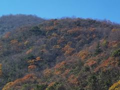 -东天目山风景区