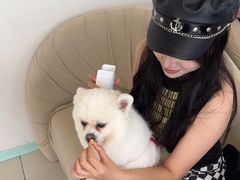 -怪兽屋·羊驼·猫咖·狗咖(俊华广场店)