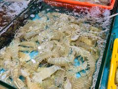 -万尾农贸市场
