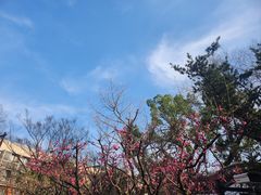 -汇龙潭