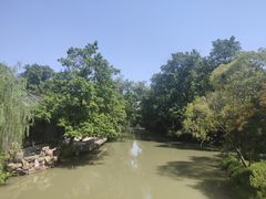 -盆景园(扬州大运河文化旅游度假区)