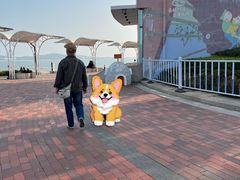 -琴岛之星摩天轮