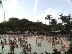 -重庆海昌加勒比海水世界