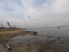 -星海广场