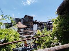 -呀路古热带植物园