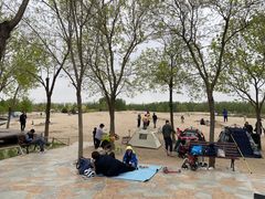 -东郊湿地公园