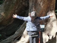 -莫里热带雨林景区