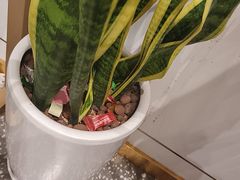 -张钰强中医正骨推拿连锁(唐家人才公寓店)