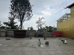 -广州莲花山旅游区