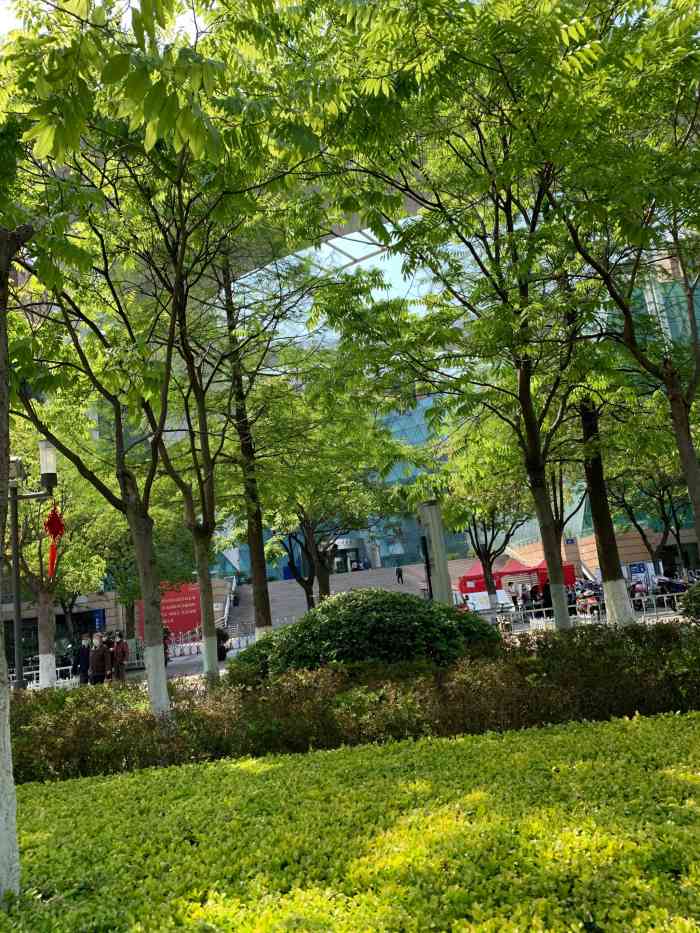 大行宫市民广场-"大行宫广场.对面就是总统府.总统府游玩出.