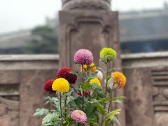 -宝光寺