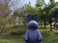 -佛冈森波拉度假区