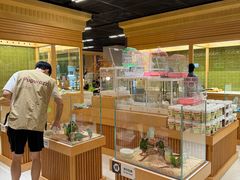 -帕帕拉兹宠物(亚洲旗舰店)