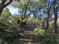 -宁波市保国寺古建筑博物馆