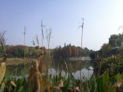 -尚贤河湿地