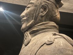 -秦始皇帝陵博物院(兵马俑)