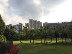 -东风公园