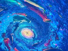 -海合安青岛极地海洋公园