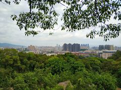 -金鸡山公园