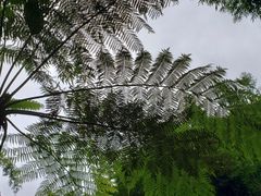 -四洞沟景区