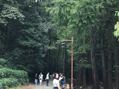 -和茶馆(西溪栖悦城店)