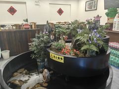-九寨沟石锅鱼(沣峪口二十年店)