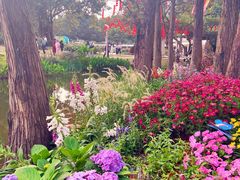 -人民公园(罗湖区)