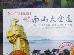 -大金鹰园