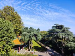 -阅江楼风景区