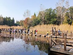 -溱湖国家湿地公园