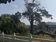 -司徒庙
