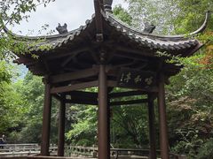 -杭州半山国家森林公园