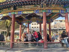 -文瀛公园
