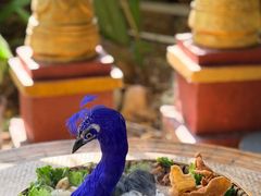 -品德宏·孔雀宴的发源地(金塔园店)