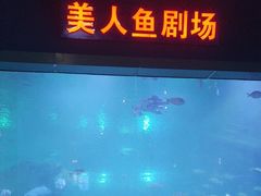 -福州罗源湾海洋世界旅游区